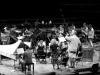 Recording for Alpha - VIVALDI 